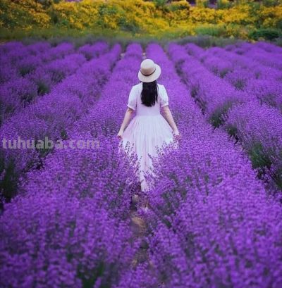 拍春天风景别乱拍！5个构图技巧，摄影新手也能拍出美景 - 图画吧TUHUABA