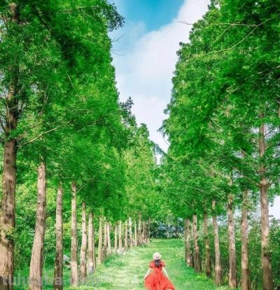 拍春天风景别乱拍！5个构图技巧，摄影新手也能拍出美景 - 图画吧TUHUABA