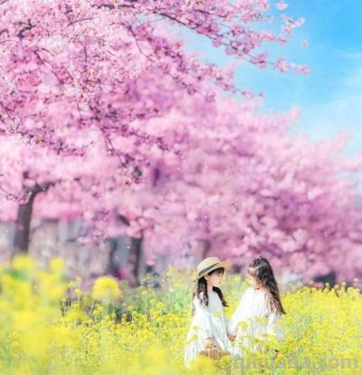 拍春天风景别乱拍！5个构图技巧，摄影新手也能拍出美景 - 图画吧TUHUABA