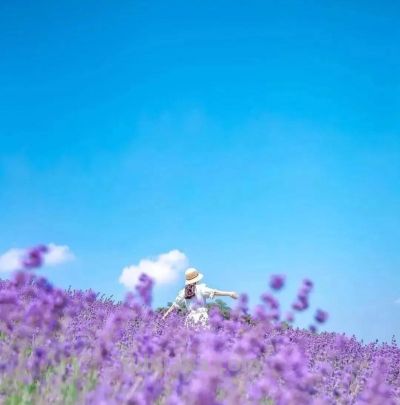 拍春天风景别乱拍！5个构图技巧，摄影新手也能拍出美景 - 图画吧TUHUABA