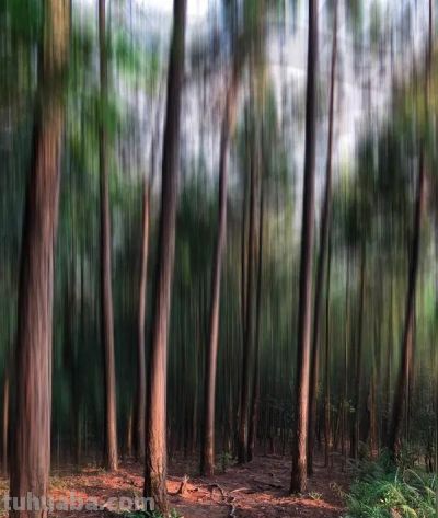 摄影小白必看！实用摄影技巧大公开 - 图画吧TUHUABA