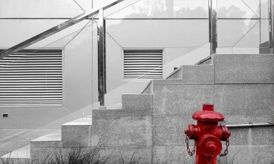 摄影小白必看！实用摄影技巧大公开 - 图画吧TUHUABA