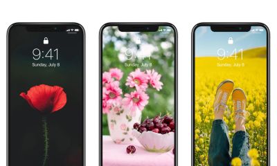 高清手机花朵壁纸，用户主题自定义系列 - 今日头条