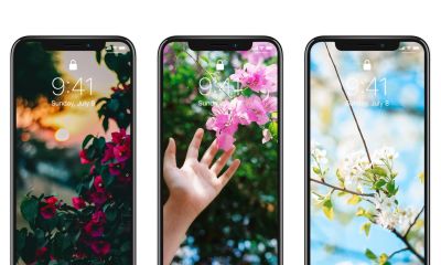 高清手机花朵壁纸，用户主题自定义系列 - 图画吧TUHUABA