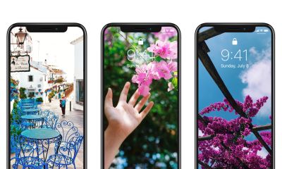 高清手机花朵壁纸，用户主题自定义系列 - 图画吧TUHUABA