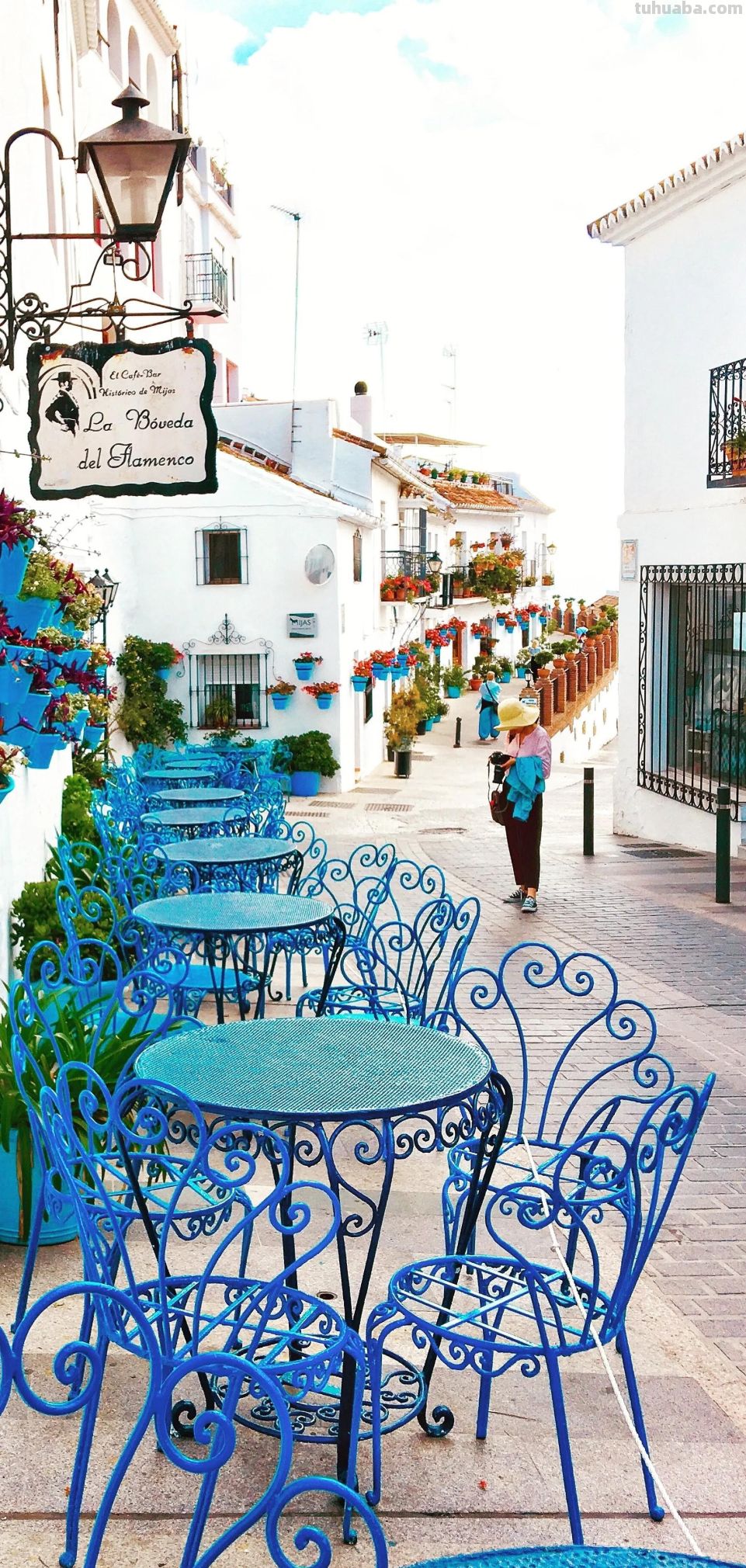 高清手机花朵壁纸，用户主题自定义系列 - 图画吧TUHUABA