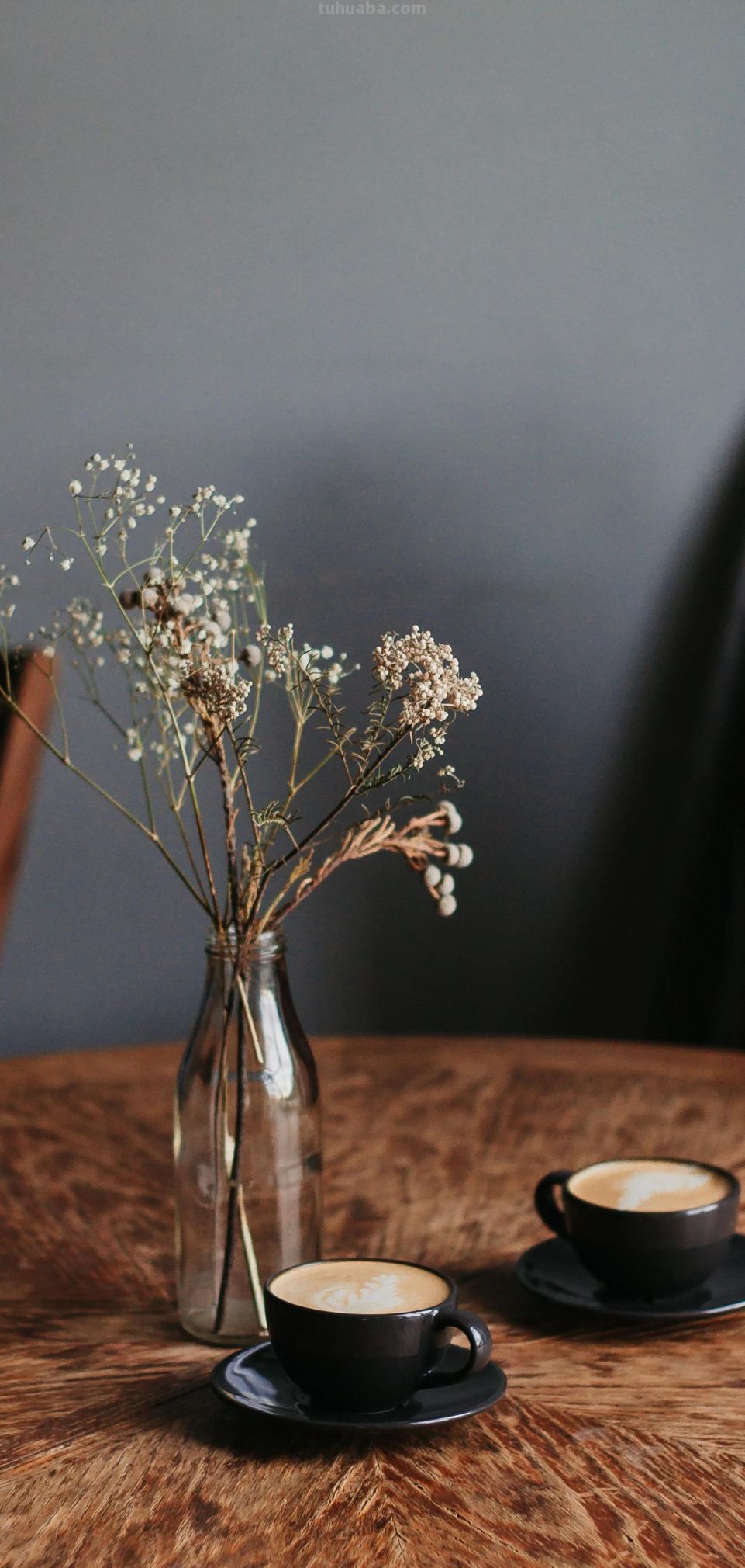 高清手机花朵壁纸，用户主题自定义系列 - 图画吧TUHUABA