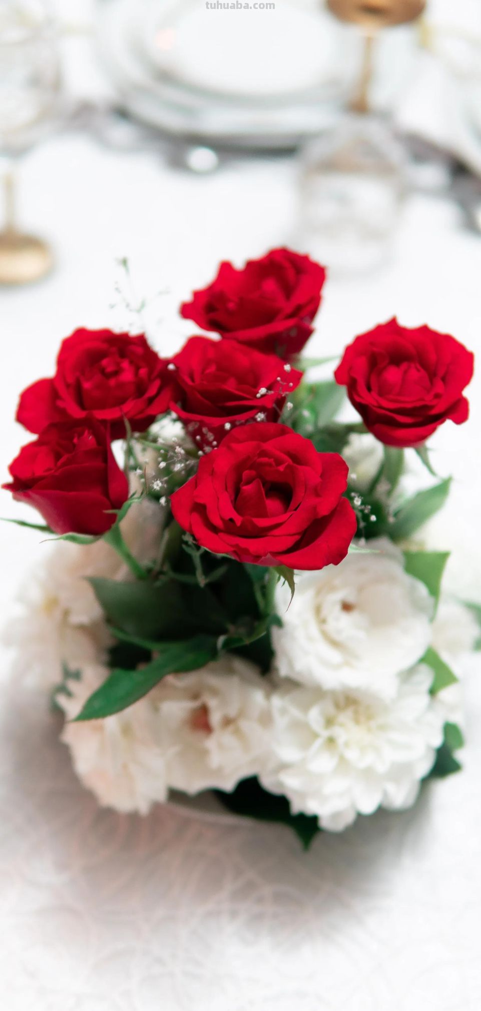 高清手机花朵壁纸，用户主题自定义系列 - 图画吧TUHUABA