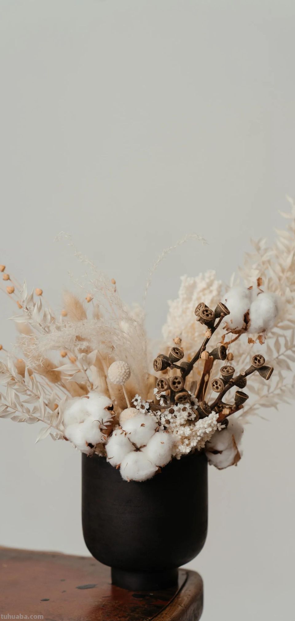 高清手机花朵壁纸，用户主题自定义系列 - 图画吧TUHUABA