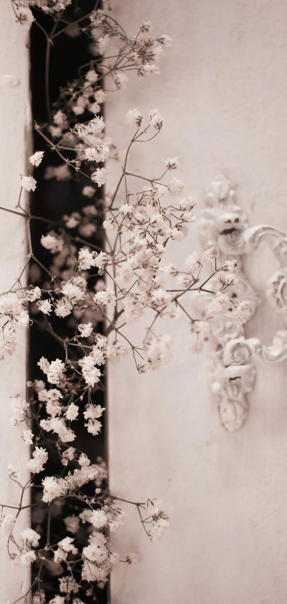 高清手机花朵壁纸，用户主题自定义系列 - 图画吧TUHUABA