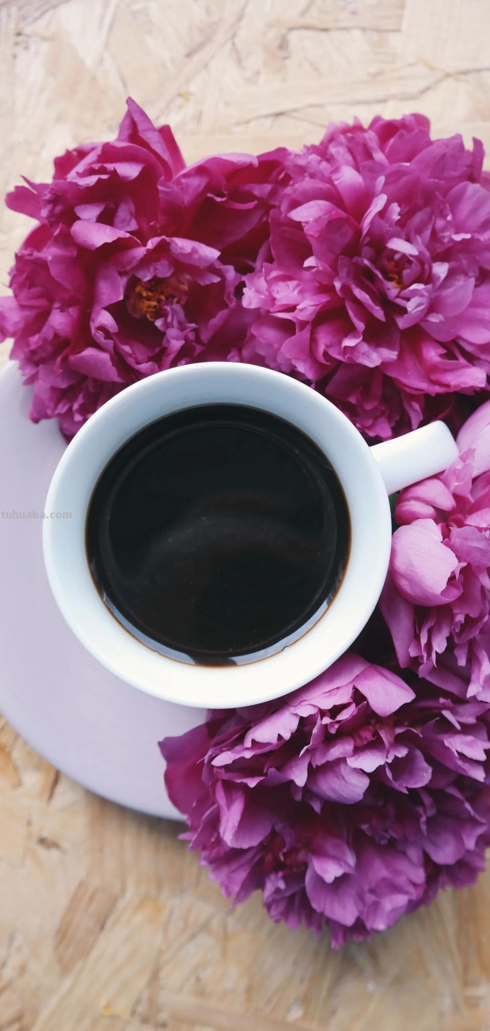 高清手机花朵壁纸，用户主题自定义系列 - 图画吧TUHUABA