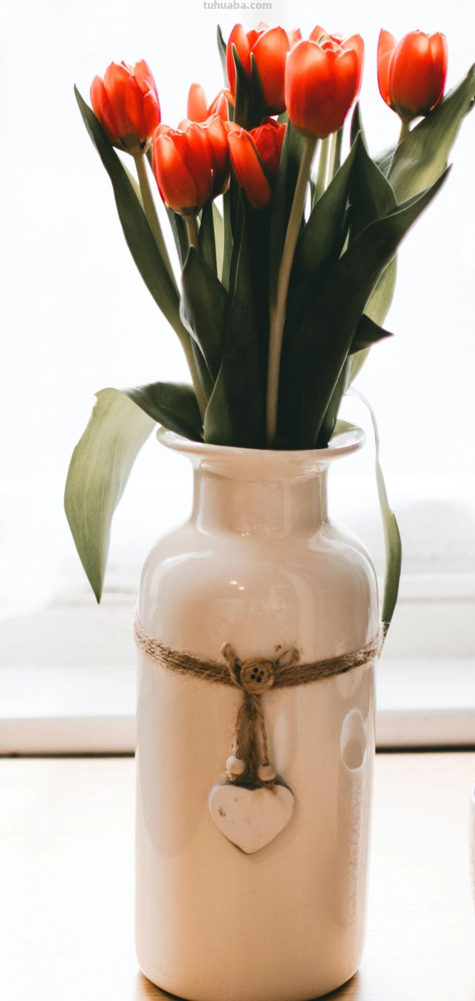 高清手机花朵壁纸，用户主题自定义系列 - 图画吧TUHUABA