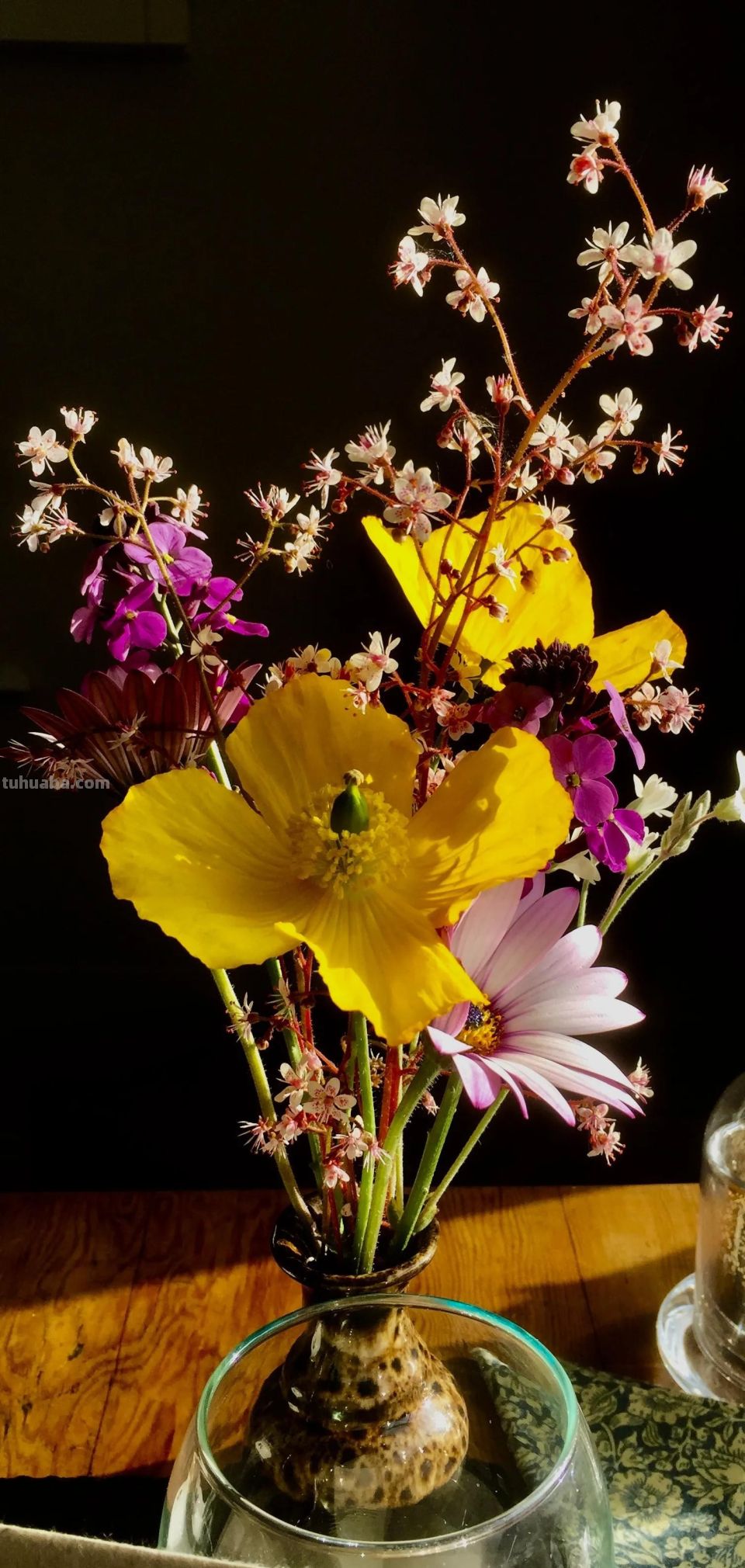 高清手机花朵壁纸，用户主题自定义系列 - 图画吧TUHUABA