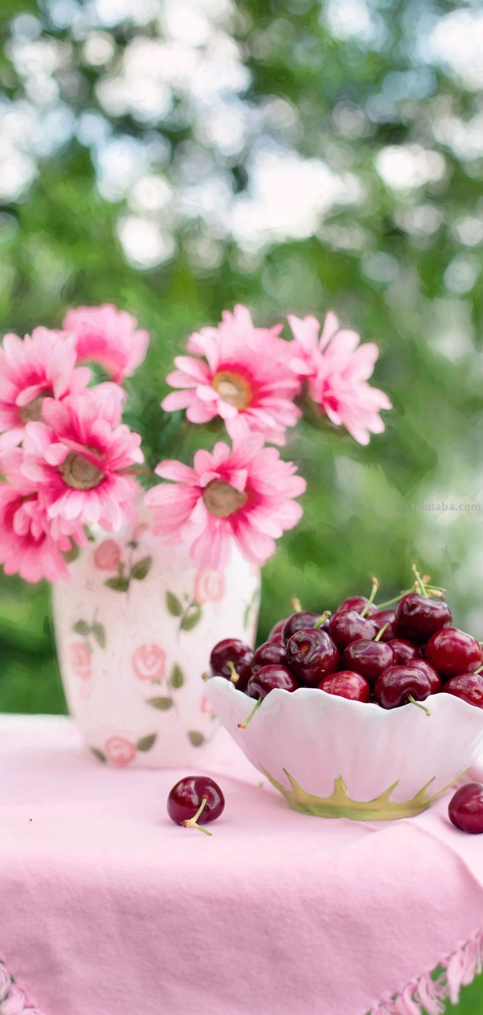 高清手机花朵壁纸，用户主题自定义系列 - 图画吧TUHUABA