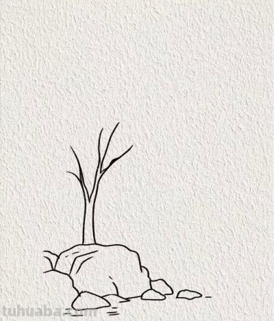 海日升帆远 猫石共清闲丨画个简笔画分享 - 图画吧TUHUABA