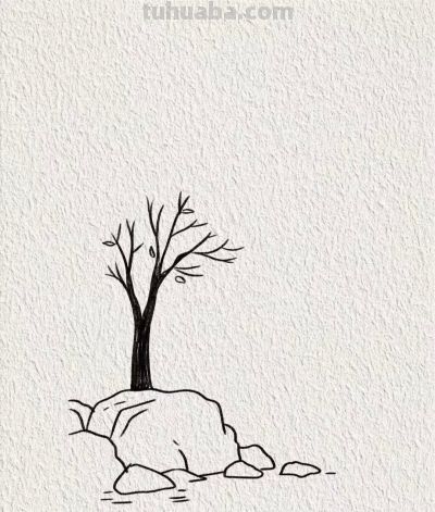 海日升帆远 猫石共清闲丨画个简笔画分享 - 图画吧TUHUABA