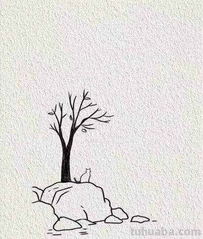 海日升帆远 猫石共清闲丨画个简笔画分享 - 图画吧TUHUABA