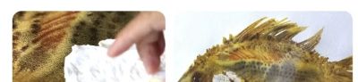 陈流绝密水彩步骤曝光！原来高手都这么画，难怪质感绝了。保姆级水彩教程！ - 图画吧TUHUABA