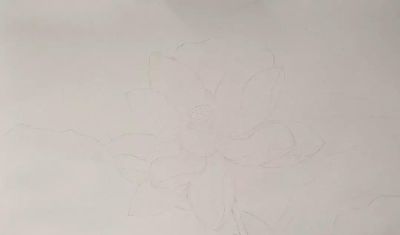 11个绘画步骤，教你画一朵好看的水彩荷花 - 图画吧TUHUABA