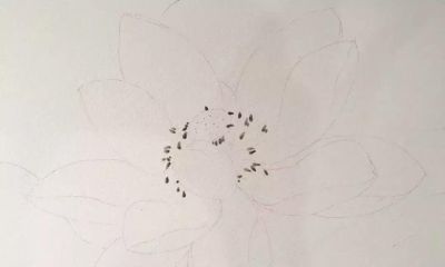 11个绘画步骤，教你画一朵好看的水彩荷花 - 图画吧TUHUABA
