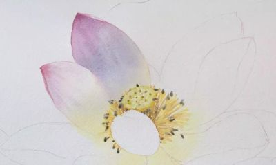 11个绘画步骤，教你画一朵好看的水彩荷花 - 图画吧TUHUABA