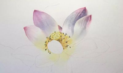 11个绘画步骤，教你画一朵好看的水彩荷花 - 图画吧TUHUABA
