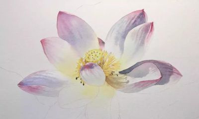 11个绘画步骤，教你画一朵好看的水彩荷花 - 图画吧TUHUABA