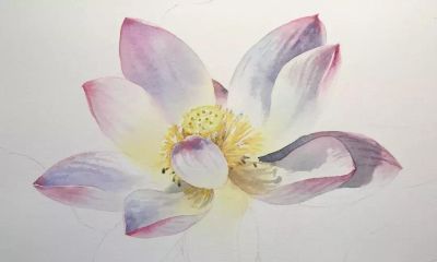 11个绘画步骤，教你画一朵好看的水彩荷花 - 图画吧TUHUABA