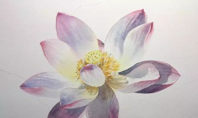 11个绘画步骤，教你画一朵好看的水彩荷花 - 图画吧TUHUABA