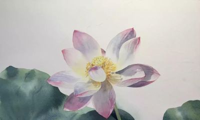 11个绘画步骤，教你画一朵好看的水彩荷花 - 图画吧TUHUABA