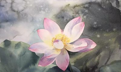 11个绘画步骤，教你画一朵好看的水彩荷花 - 图画吧TUHUABA