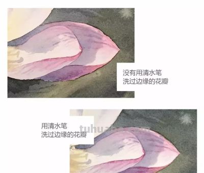 11个绘画步骤，教你画一朵好看的水彩荷花 - 图画吧TUHUABA