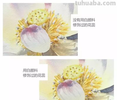 11个绘画步骤，教你画一朵好看的水彩荷花 - 图画吧TUHUABA