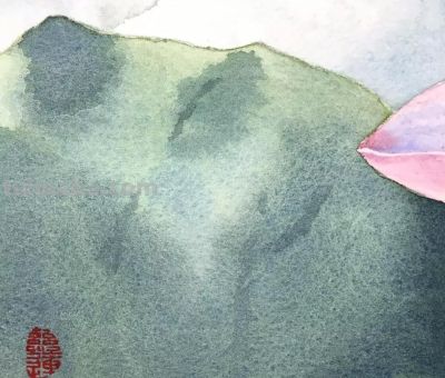 11个绘画步骤，教你画一朵好看的水彩荷花 - 图画吧TUHUABA
