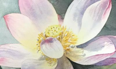 11个绘画步骤，教你画一朵好看的水彩荷花 - 图画吧TUHUABA