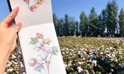 95后美女教你画钢笔淡彩，张张都是精品，构图和配色超棒 - 图画吧TUHUABA