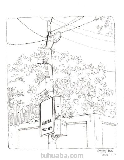 95后美女教你画钢笔淡彩，张张都是精品，构图和配色超棒 - 图画吧TUHUABA