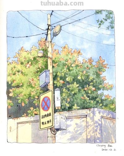 95后美女教你画钢笔淡彩，张张都是精品，构图和配色超棒 - 图画吧TUHUABA