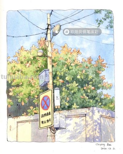 95后美女教你画钢笔淡彩，张张都是精品，构图和配色超棒 - 图画吧TUHUABA