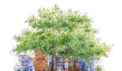 95后美女教你画钢笔淡彩，张张都是精品，构图和配色超棒 - 图画吧TUHUABA