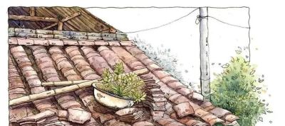 95后美女教你画钢笔淡彩，张张都是精品，构图和配色超棒 - 图画吧TUHUABA