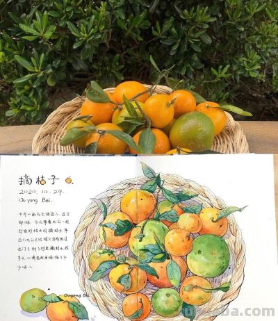 95后美女教你画钢笔淡彩，张张都是精品，构图和配色超棒 - 图画吧TUHUABA