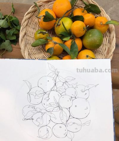 95后美女教你画钢笔淡彩，张张都是精品，构图和配色超棒 - 图画吧TUHUABA