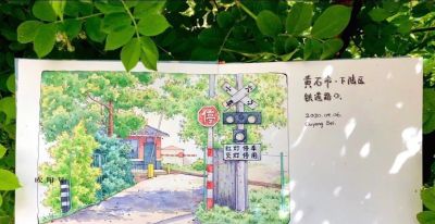 95后美女教你画钢笔淡彩，张张都是精品，构图和配色超棒 - 图画吧TUHUABA