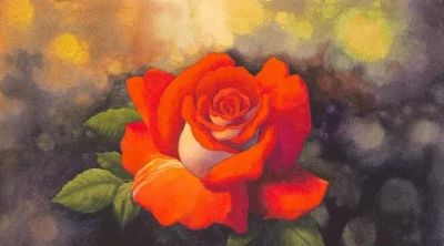 适合零基础学习，46步教你画一朵水彩红玫瑰 - 图画吧TUHUABA