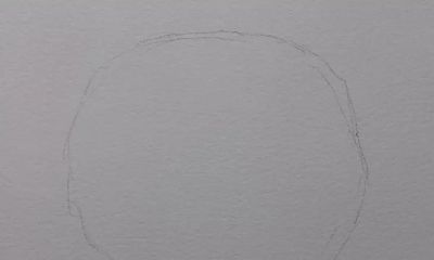 适合零基础学习，46步教你画一朵水彩红玫瑰 - 图画吧TUHUABA