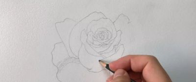 适合零基础学习，46步教你画一朵水彩红玫瑰 - 图画吧TUHUABA