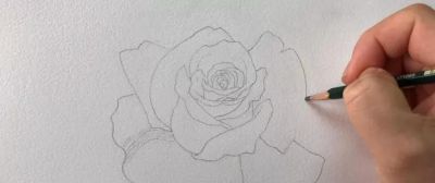 适合零基础学习，46步教你画一朵水彩红玫瑰 - 图画吧TUHUABA