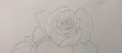 适合零基础学习，46步教你画一朵水彩红玫瑰 - 图画吧TUHUABA