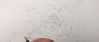 适合零基础学习，46步教你画一朵水彩红玫瑰 - 图画吧TUHUABA